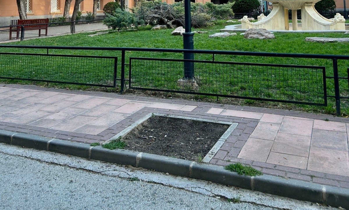 La Asociación Vecinal de Vistabella vuelve a solicitar la reposición de arbolado en el&nbsp;barrio